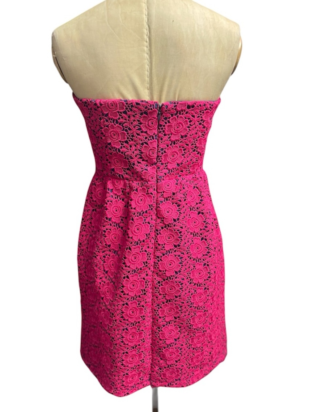 Julie Brown Crochet Dress Strapless SM Pink JB Embroidery Floral Mini Lace Femme - Picture 2 of 16
